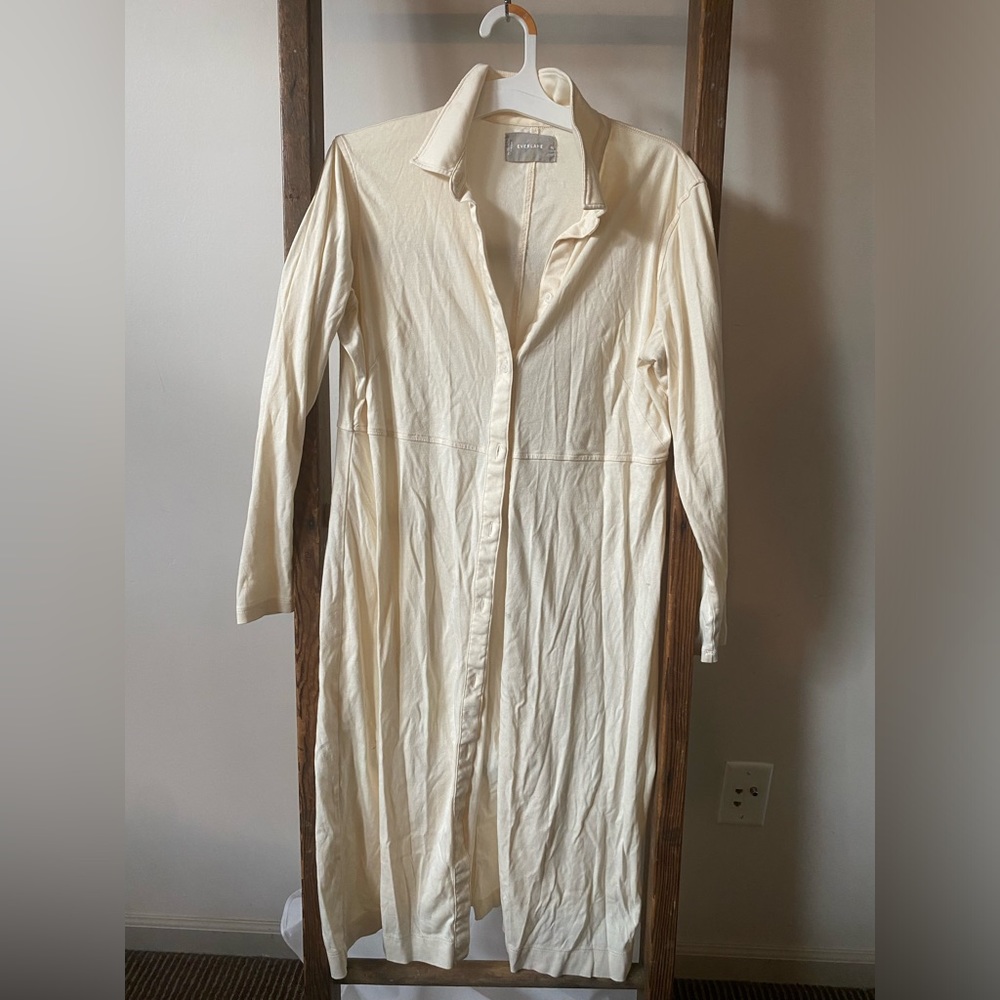 Everlane Luxe Cotton Shirtdress